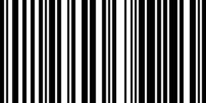 Barcode for 024543597599