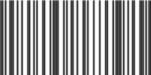 Barcode for 043396063938