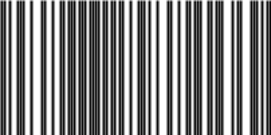 Barcode for 085391200413