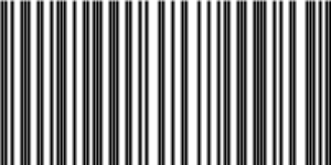 Barcode for 191329081112