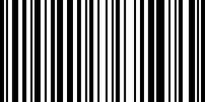 Barcode for 191329106914