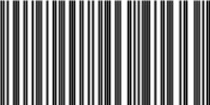Barcode for 191329135983