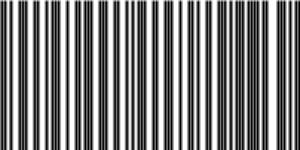 Barcode for 191329152614