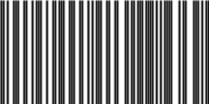 Barcode for 191329153260