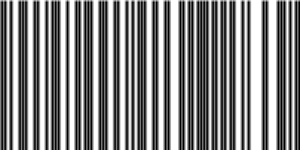 Barcode for 191329153291