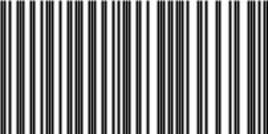 Barcode for 191329154755