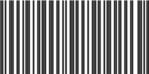 Barcode for 191329162019