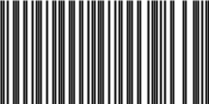 Barcode for 191329211250