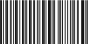 Barcode for 191329225486