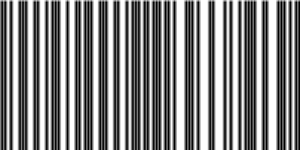 Barcode for 191329234938
