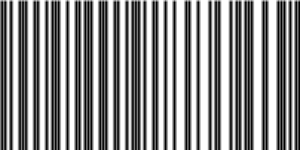 Barcode for 191329240434
