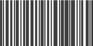 Barcode for 191329248560