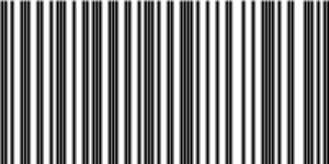 Barcode for 191329248607
