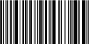 Barcode for 191329249239