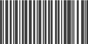 Barcode for 191329253120