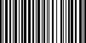 Barcode for 191329253373