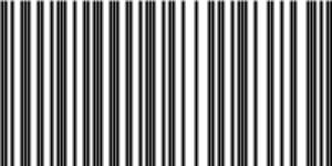 Barcode for 191329253519