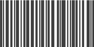 Barcode for 191329255988