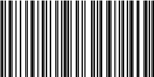 Barcode for 4260495765488