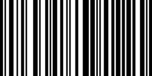Barcode for 715515337717