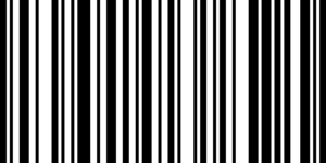 Barcode for 738329266769