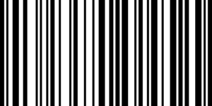 Barcode for 786936175219