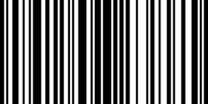 Barcode for 810180993067