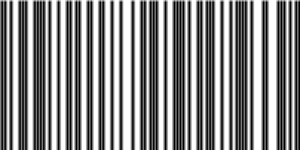 Barcode for 860009138421