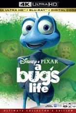 A Bug's Life