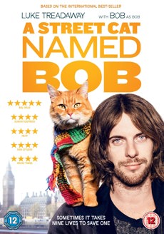 2017 DVD