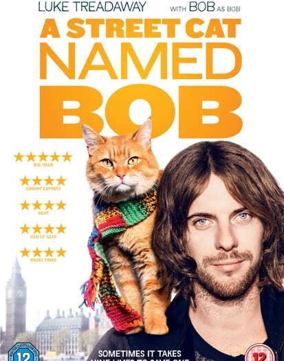 2017 DVD (2017)