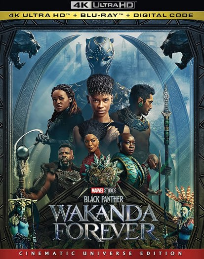 Black Panther: Wakanda Forever (2022) 2022