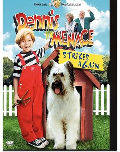 2008 DVD (2008)