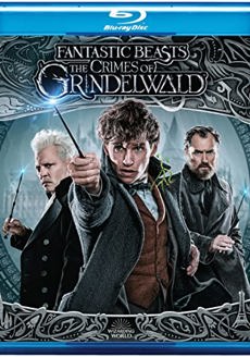 2019 Blu-ray
