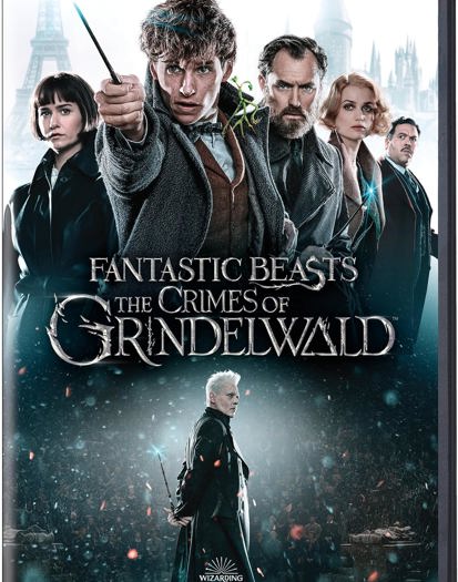 DVD (2019)