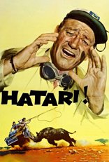 Hatari!