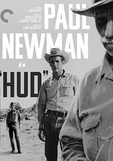 4K UHD (Criterion Collection)