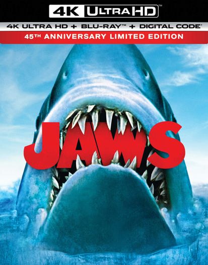 45th Anniversary Limited Editino 4K (2020)