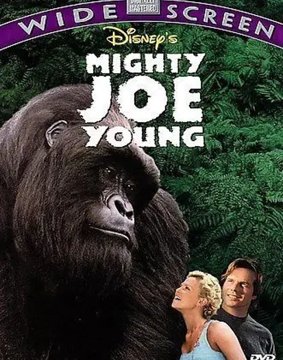 Widescreen DVD (1999)