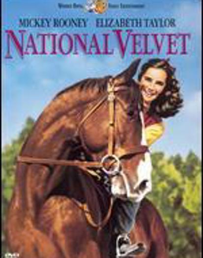 DVD (2004)