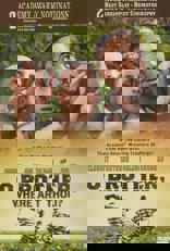 O Brother, Where Art Thou?