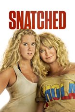 Snatched (2017)