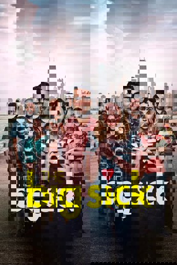 The Big Sick (2017)