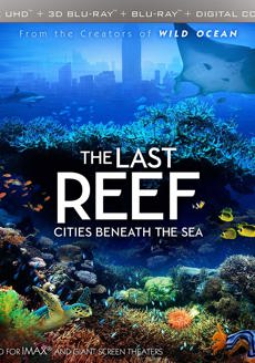 The Last Reef: Cities Beneath the Sea