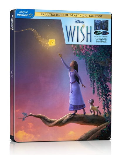 Walmart Exclusive Steelbook 4K (2024)