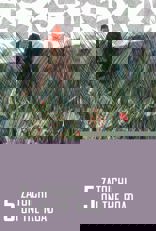 Zatoichi on the Road