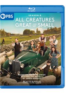 Season 6 [Blu-ray]